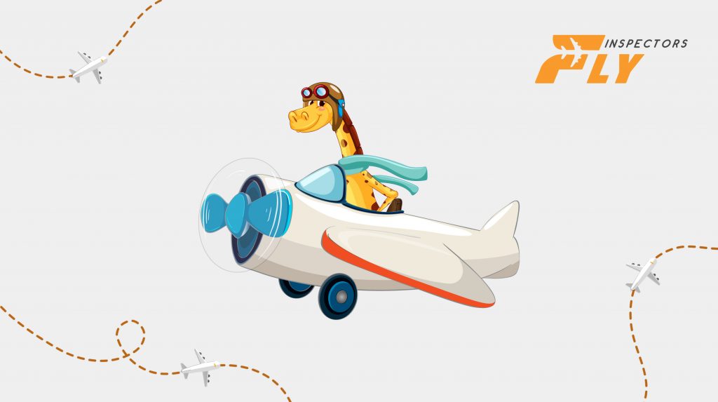 Airplane image with logo
